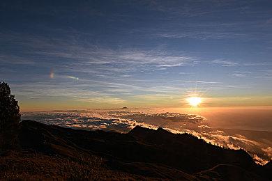 非对称新游《录像恐怖协会》上架Steam 80年代恐怖电影氛围